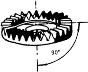 �X݆�����g(sh��)�Z(y��)�F�X݆����(zh��n)�p�����X݆�����X݆��
