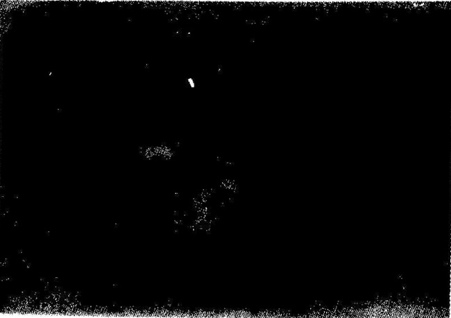 �����c�g