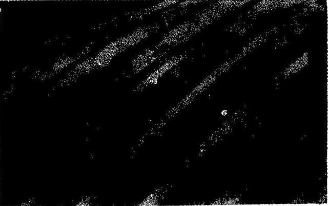 �Ɖ����c�g