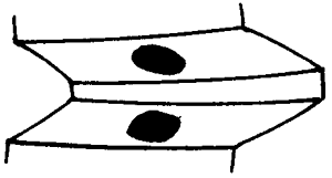 �F�X݆�͜�(zh��n)�p�����X݆�g(sh��)�Z�ӹ�������݆�X���|���z���ԇ�