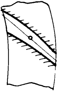 �F�X݆�͜��p�����X݆�g(sh��)�Z�OӋӋ���c�{(di��o)��Ӌ��