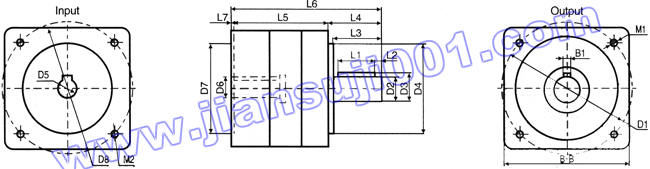 NN�͜p����